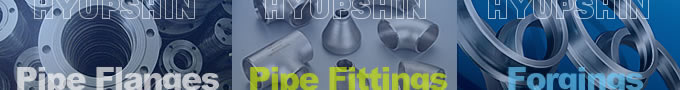 Shandong Hyupshin Flanges Co., Ltd, pipe flange, pipe fittings, catalog