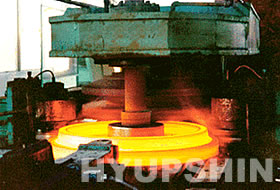 Shandong Hyupshin Flanges Co., Ltd